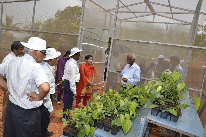 03Apr2014_00040 (63).JPG